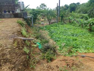 淡水76歲老農倒臥農田 送醫不治死因待查