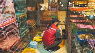 私設繁殖場卻養不起　無良運將虐殺6貓被重判「下場出爐」