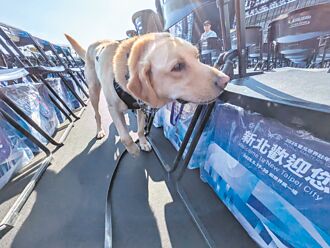 警察節 新北送警犬健康大禮包