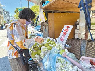 芭乐种苗也抢手 刚种1周被偷拔