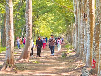 守護牛稠子遺址生態 鄉親連署