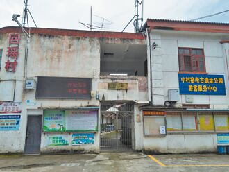 回瑤村的千年桂花