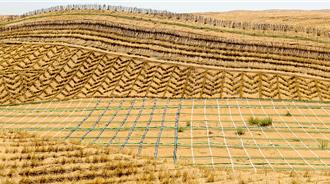 給沙漠戴上「綠圍脖」！陸10餘年治理沙化土地3.65億畝