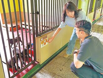 屏東動物之家 人貓同擠辦公室惹議