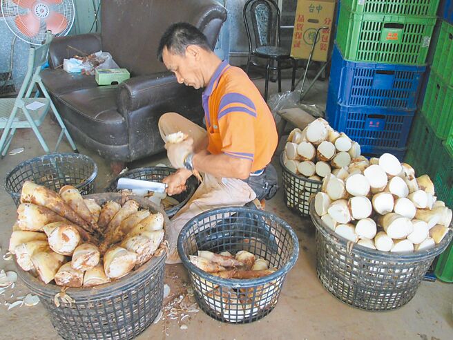 台中市潭子区盛产绿竹笋，受到去年颱风影响，减产3到4成，目前市场销售价格每台斤120元起跳。（潭子区农会提供／李京升台中传真）