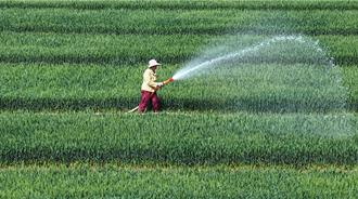 陆春灌总面积达4.3亿亩 力保夏粮稳产