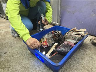 雨後高溫蚊蟲孳生 高雄登革熱風險大增 市場陽性率達20％