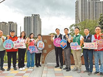 桃园 疏解机捷A7交通 牛角坡桥完工