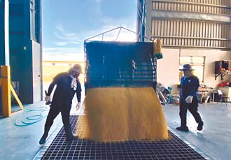 彰化 一期稻收割 農民交公糧意願高