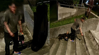 比特犬暴衝撕咬貴賓狗 「肚破腸流」傷重亡 飼主恐挨罰15萬元