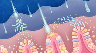 奈米塑膠微粒不只汙染環境 嘉大研究：恐引發腸道疾病