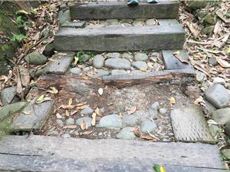 雲林龍過脈森林步道部分路線封閉施工 規畫生態監測守護8色鳥