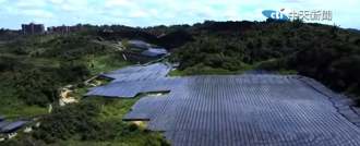 黑色光電板吃掉山頭 柯志恩轟「別再蹂躪美麗家園」：監督到底