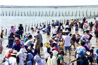 台南七股海鮮節7／5開跑 挖文蛤、一日遊6／20開放網路報名