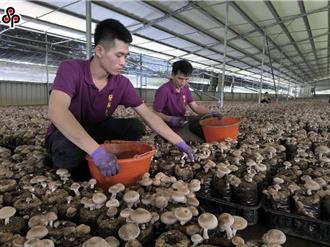 監院籲放寬移工適用勞退新制 勞部：持續檢視