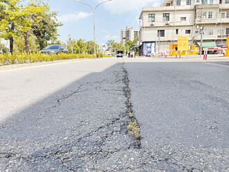鳳山立志街龜裂未修 議員批車輪遲早卡縫