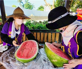 新北泰山推自然研習營、銀髮共餐日 打造幸福楓樹里