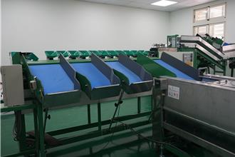 花莲瑞穗年产1.3万公吨文旦！全新加工厂完工 助稳供应、减人力损耗