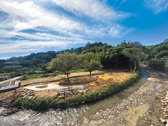 草嶺溪頭寮步道 11月新裝上陣