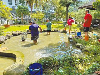 南投 守護巴氏銀鮈 啟智院成庇護所