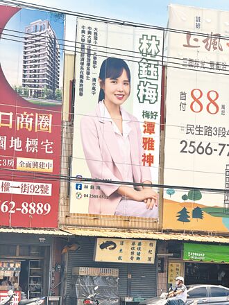 中市潭雅神議員 民進黨4搶3