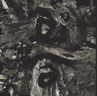 聲動夏日 私藏聽選