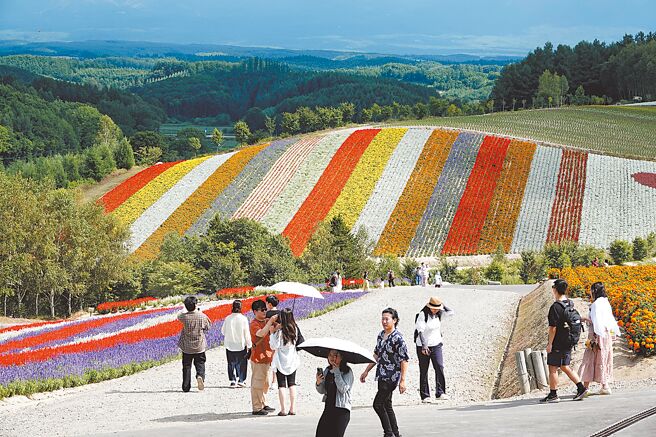 圖為日本北海道的四季彩之丘，遊客前往賞花賞景。（本報資料照片）