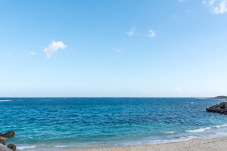 恆春漁民捕獲怪魚 竟是消失多年稀有物種