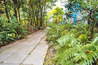 修整運動場 新北年砸8千萬