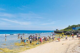 小琉球蛤板灣潮間帶 7月1日起收觀光保育費