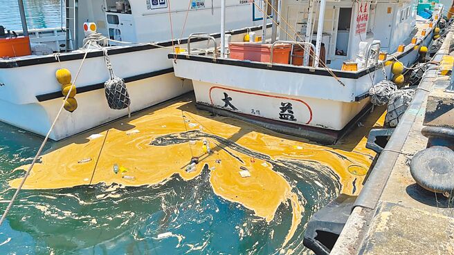 高雄市议员陈丽娜接获陈情，指称小港渔港船渠漂着浮油，渔船靠岸时整艘船身、渔具都沾到油污，造成作业困难。（高雄市议员陈丽娜提供／洪靖宜高雄传真）