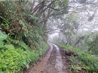 太魯閣部落重生！震後1年聯外道搶通 力拚6月底開放