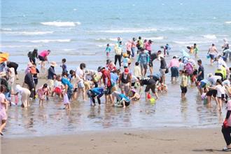 苗栗百人牽罟！後龍水尾沙灘重現百年漁法
