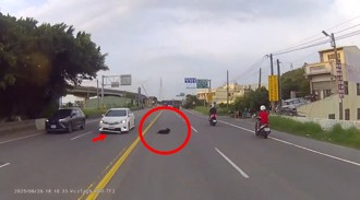 小黑狗亂衝遭撞擊噴飛　慘遭10噸半貨車無奈輾過