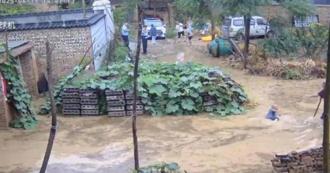 8旬老人摔倒水中  现场员警「冷眼旁观」！超惨下场出炉