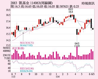 凱基金 內資大買力挺