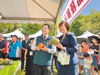 台南 芒果產量腰斬 外銷銳減9成