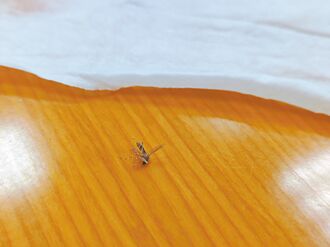 用偏方消蚊叮 險釀蜂窩性組織炎