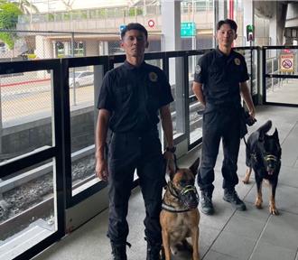 影》警犬光榮卸甲！獸醫、訓練師接手 從勇士變家庭寶貝