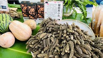 蘭嶼「黑小米」重現！7月首辦豐收祭對外推廣