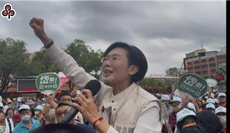 涉詐助理費遭起訴林岱樺發聲了：會證明清白  對高雄服務不會停