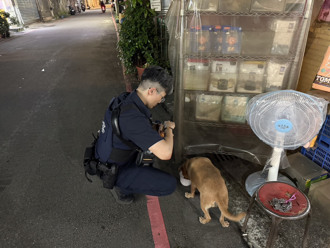 愛犬暴衝失蹤！飼主淚崩求助 暖警10分鐘速尋回