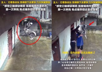 二哈抄捷径下楼忘有牵绳　惨吊半空主人「傻眼了」