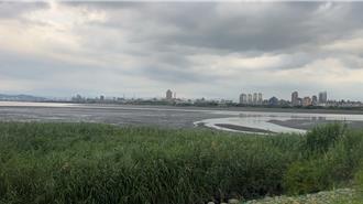 五股微風運河驚傳命案！　66歲失蹤男倒臥身亡