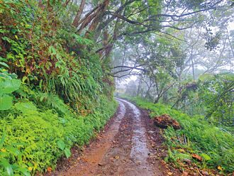 震毀1年 太魯閣大禮大同回家的路修復