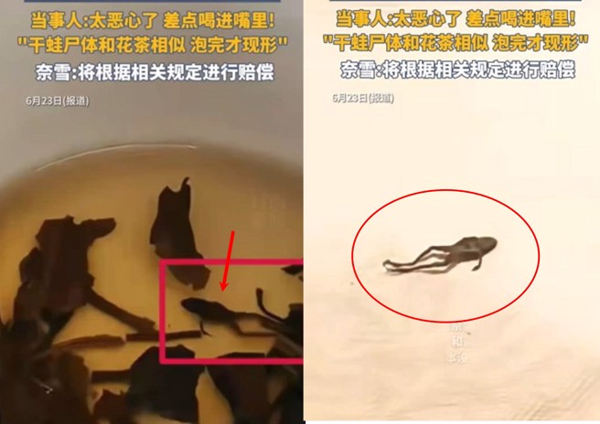 大陆知名手摇饮出事了，一名网路博主喝到快见底时，惊见杯底居然有青蛙尸体。（翻摄微博）