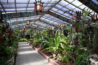 在都市也能奇幻探險 士林官邸新蘭亭雨林植物展就地「展」開