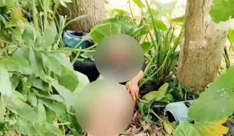 90岁阿嬷走失35小时！警求佛保佑　溪边奇蹟寻获苍蝇爬满身