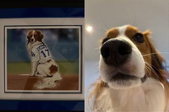 MLB》大谷翔平晒最萌神卡！爱犬化身游戏王卡 数值藏惊喜