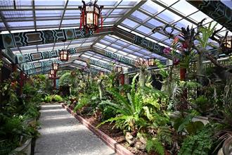 台北沉浸式「雨林體驗」！逾百種植物士林官邸一次看